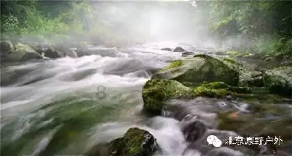 竞技宝登录